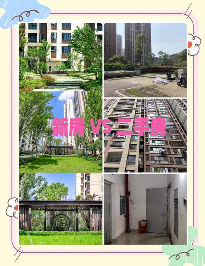 物业管理服务：城市的绿色守护者
