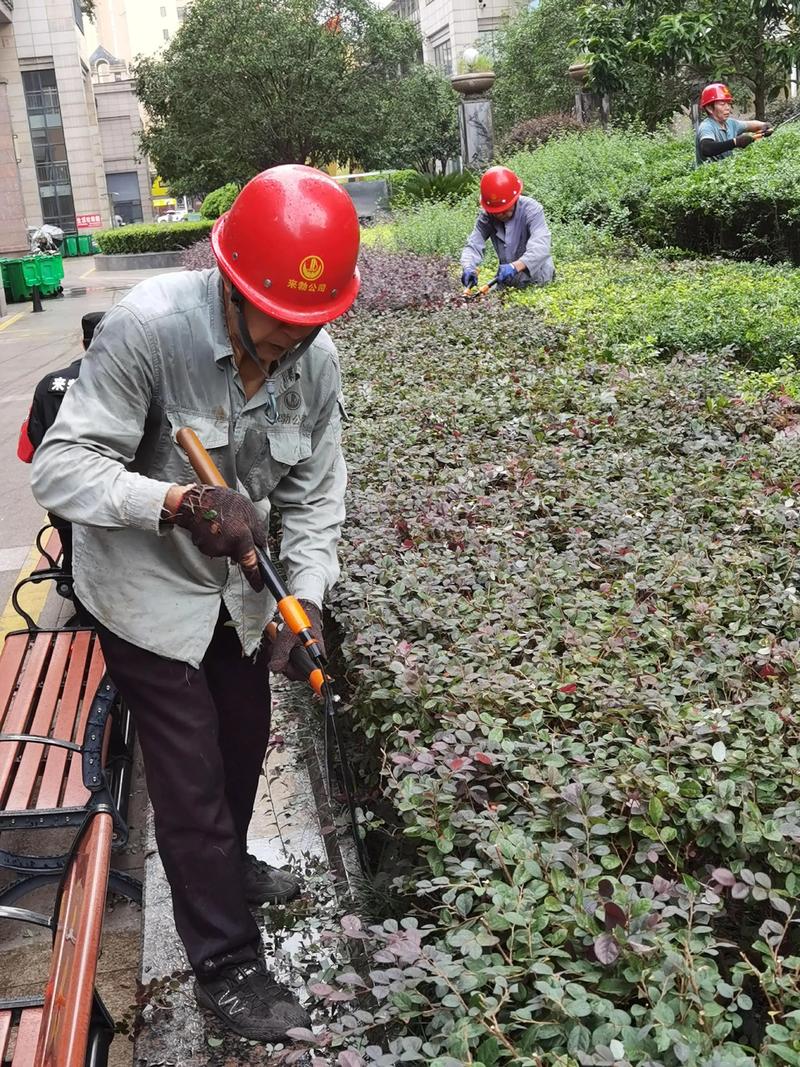 选购指南：如何选择优质的住宅小区物业