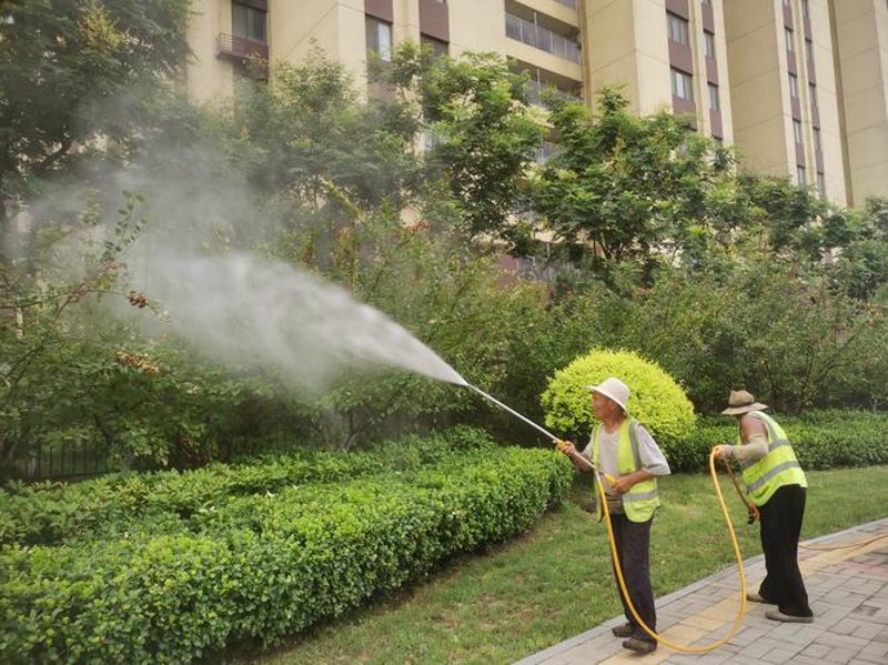 物业管理行业的动态与趋势